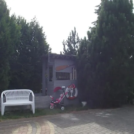 Typu Olszyna 27 *